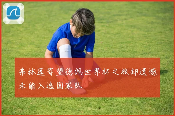 弗林蓬寄望德佩世界杯之旅却遗憾未能入选国家队